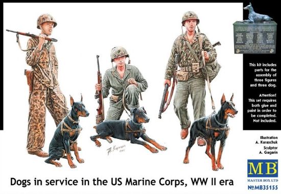 Picture of Dogs in service in the US Marine Corps, WW II era 