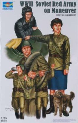 Picture of WW II Soviet Red Army tank soldier 